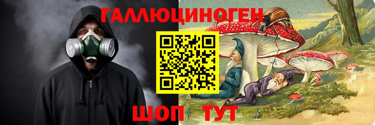 Псилоцибиновые грибы прущие грибы Верхняя Салда