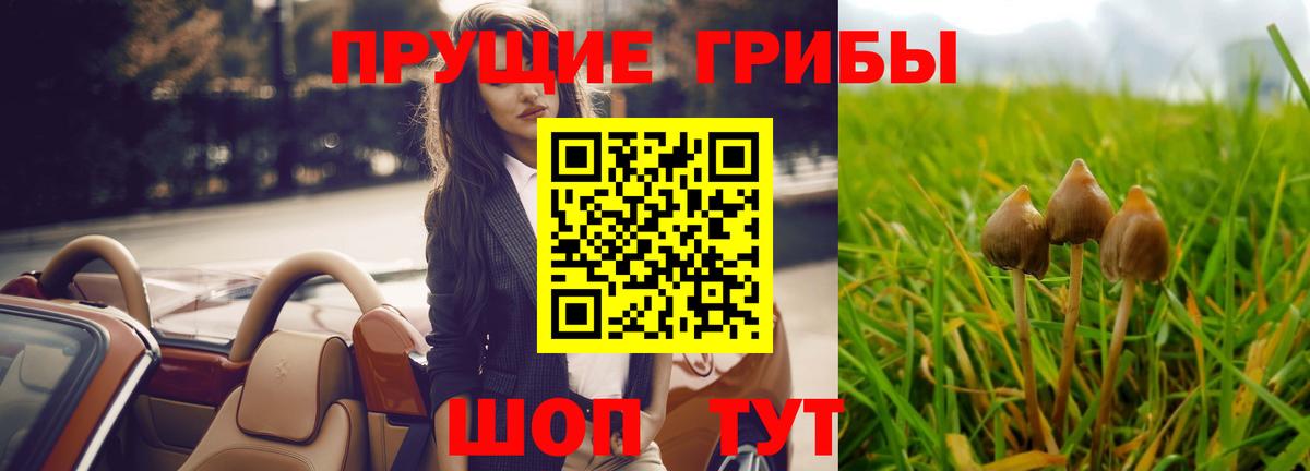 Псилоцибиновые грибы прущие грибы  Вход с VPN  Псилоцибиновые грибы мухоморы  Верхняя Салда 