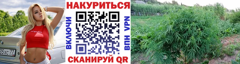 Шишки марихуана семена  купить наркотики сайты  Верхняя Салда 